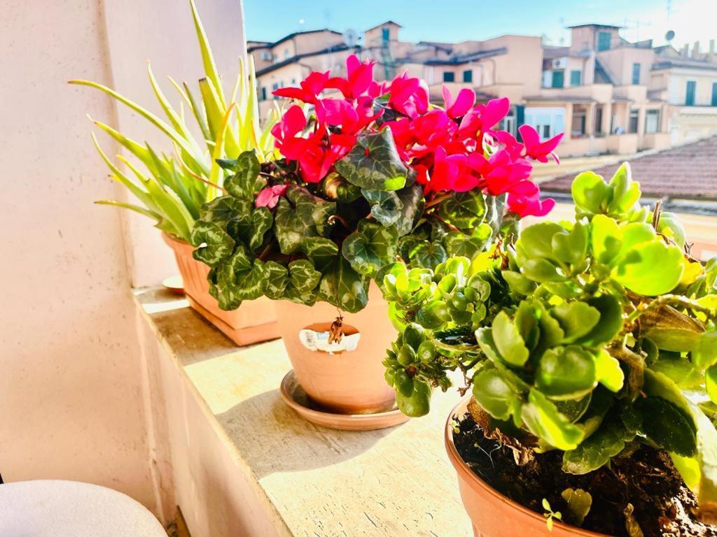 Green Guesthouse โรม ภายนอก รูปภาพ